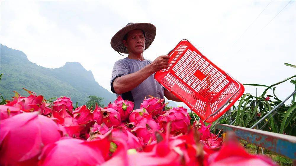 忻城县县城有多少人口_权威发布,忻城这三个路口在这些时间内禁止驶入