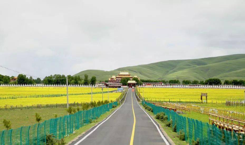 川藏骑行之旅,带你畅游中国最美景观大道