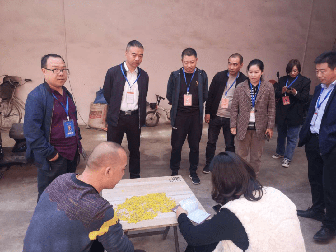 人口普查冯_人口普查图片