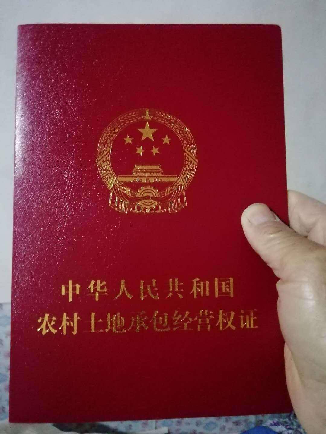 e0896dce8458443083cb1af18c564462.jpeg