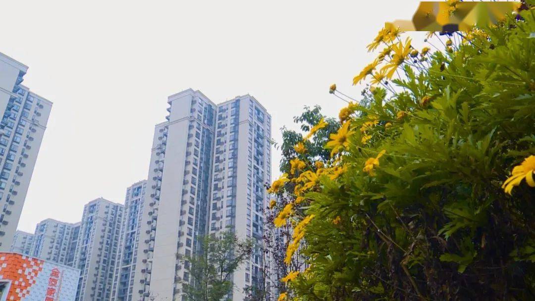 双流县有多少人口(2)