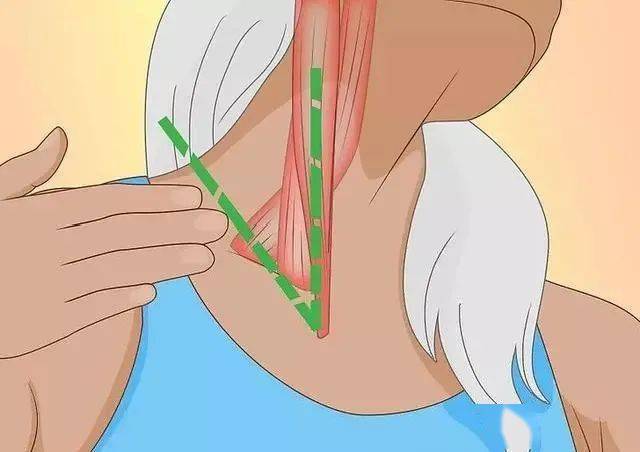 锻炼|赵丽颖再上热搜，锻炼生图线条感十足！更抓眼球的，是女神绝美的体态！