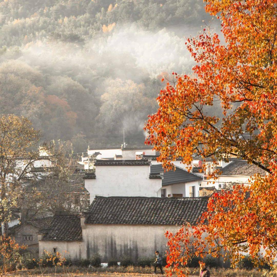 绝美之旅错过一季便是一年塔川最美季节正当时