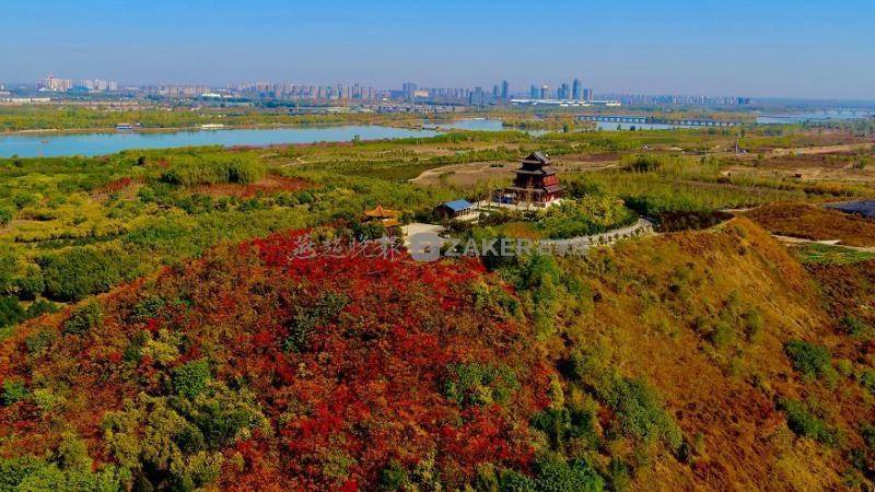 多图  滹沱河畔 人间秋色_候鸟