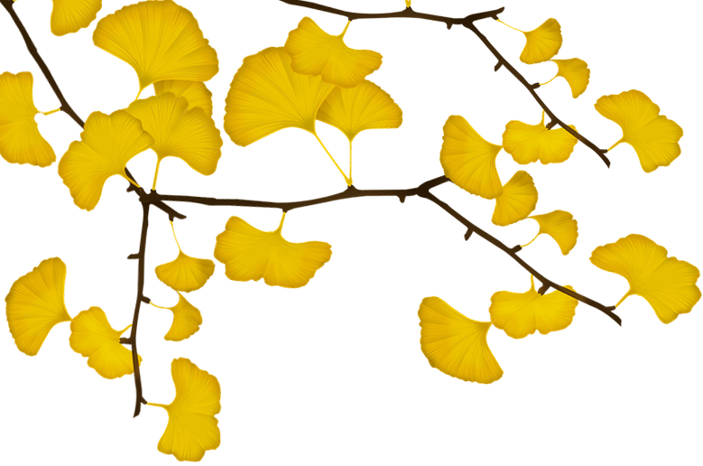 精彩11月 赏 甫里秋韵 遇见你的 一甪确幸 活动