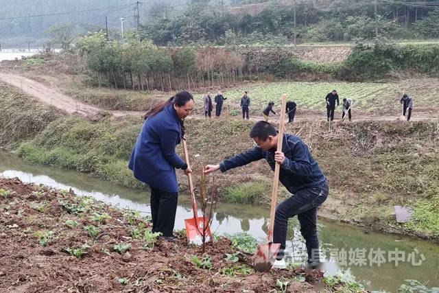 秋林镇人口_秋林镇:做好地质灾害防治保护人民群众生命财产安全(2)