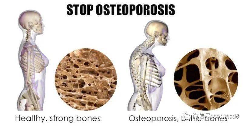 795c3f02c50943488a740a7e661969bb.jpeg