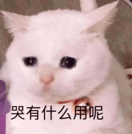 aed78d9721e54481b43669a04f38093b.png