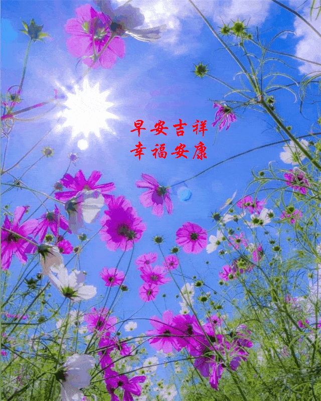 640_799 竖版 竖屏