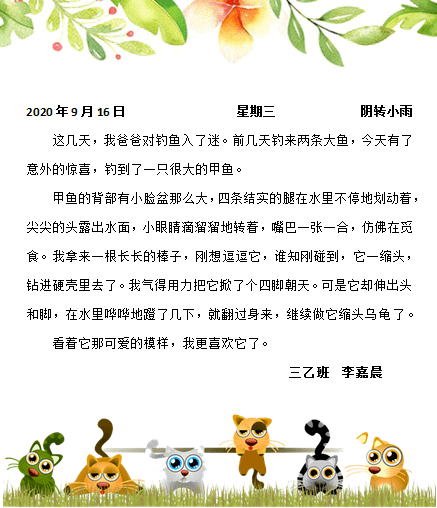 文章配图-5
