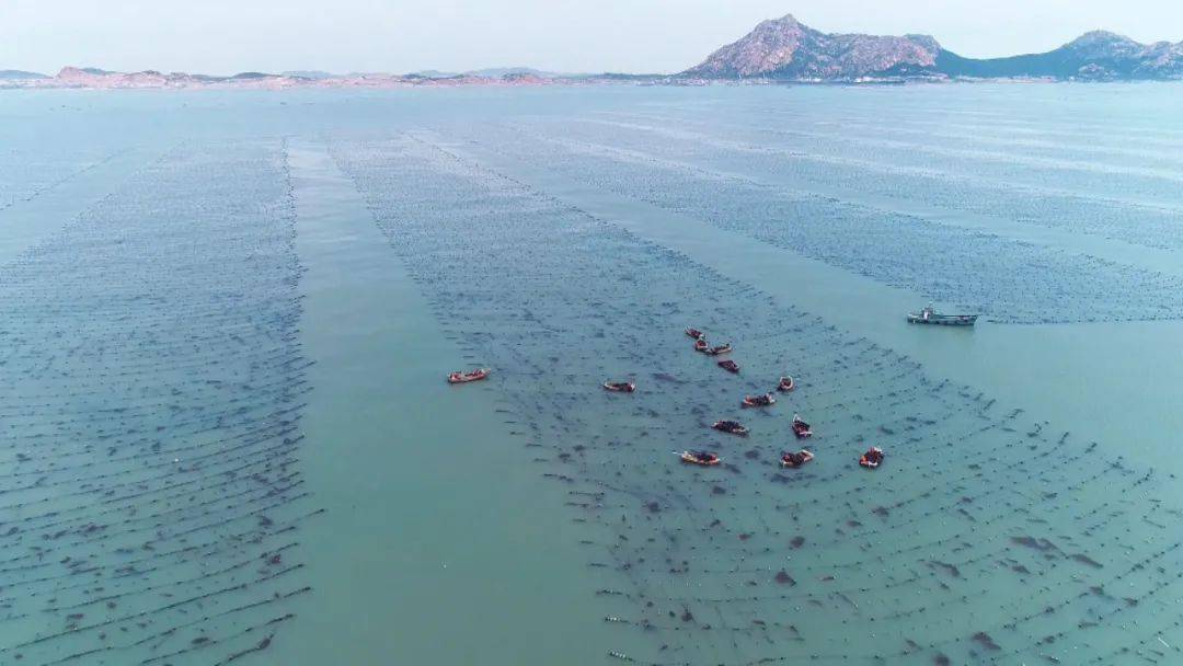 海水养殖标准评审会举行