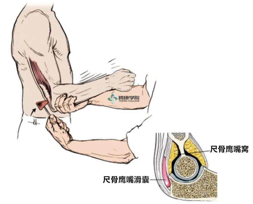 【功能评估】c8神经系统检查