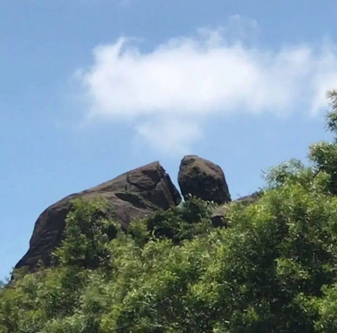 仙庵村人口_仙庵镇桥观村