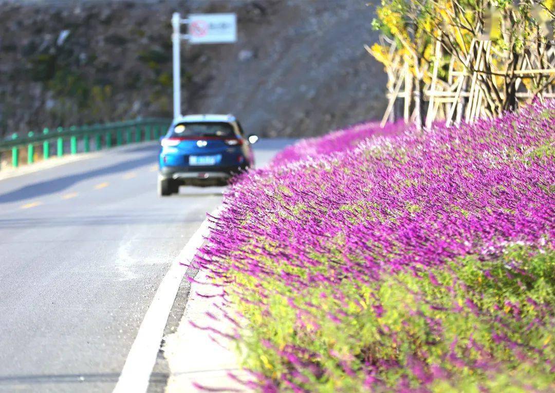 宋百路一路风景一路繁花