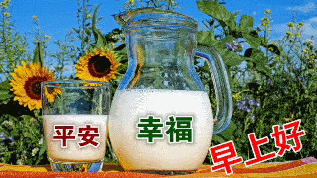 11月7日最漂亮早上好动态表情图片大全,早晨好美图大全