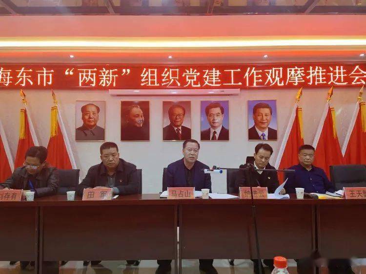 海东市召开“两新”组织党建工作观摩推进会