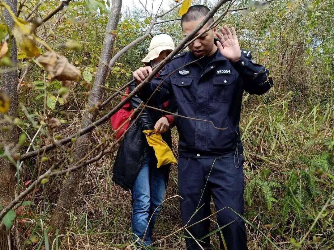 衫洋镇人口_人口普查