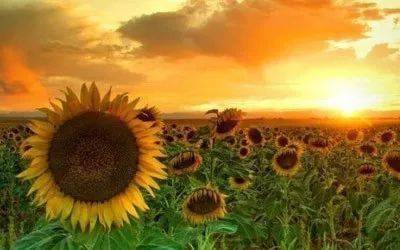 �������������ǰʮ���ݳ�Ʒ!���м���?(�ؿ�)