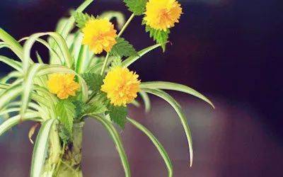 �������������ǰʮ���ݳ�Ʒ!���м���?(�ؿ�)