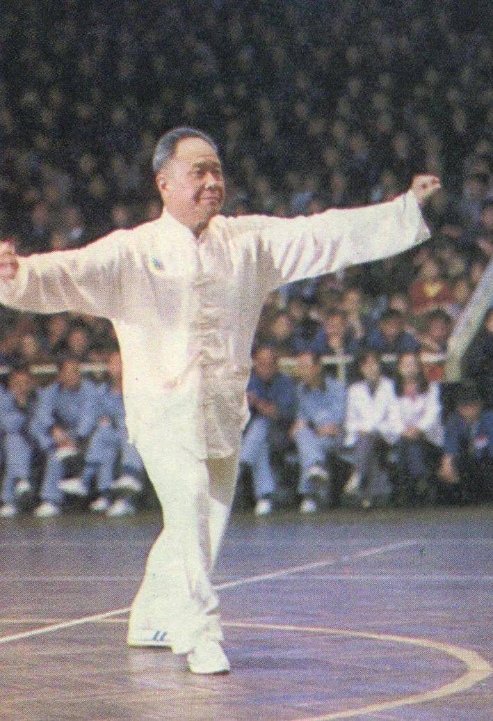 拳象:朴茂参天,内外无垠—杨振铎先生千古!