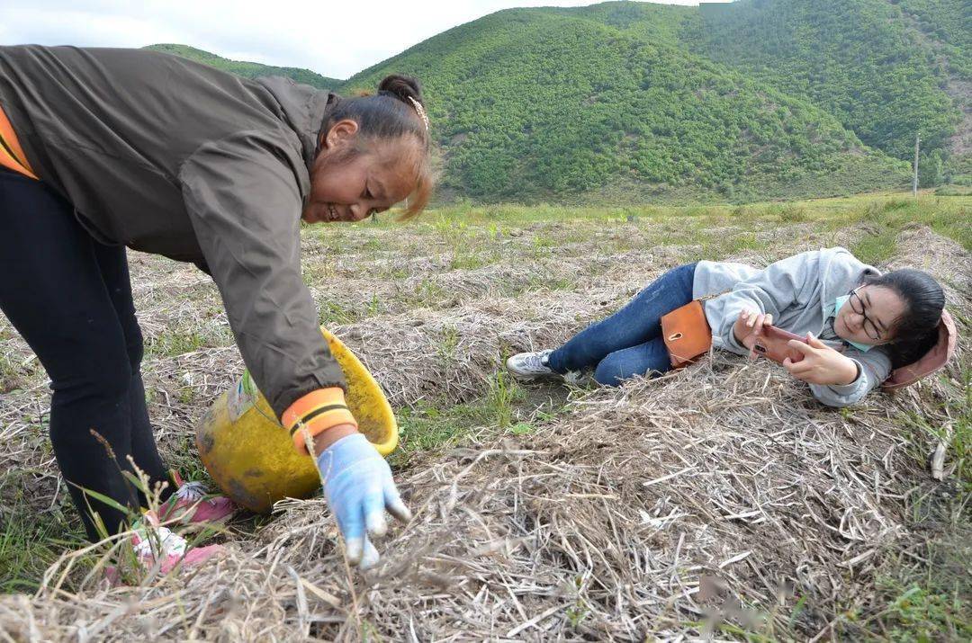 策划 金宇摄像 许波 石保青编辑 应霞艳监制 赵菊香返回搜狐,查看更多