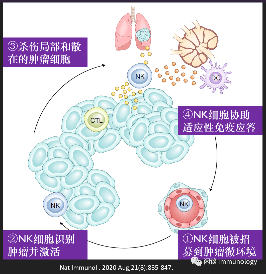 【经典】小细胞肺癌的病理影像分析_淋巴