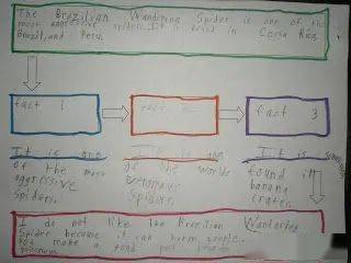 写文章|用这种思维导图学写作，不信娃无话可写！