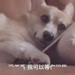 可可爱爱的表情包 76984827f4154af3b65190a73f1bc4b4.jpeg