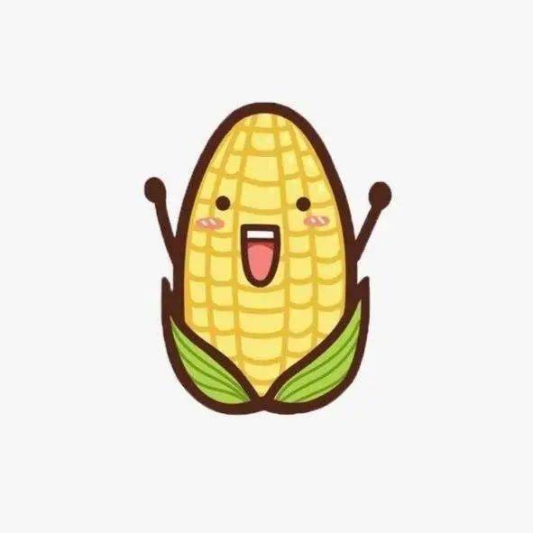 【营养小贴士】玉米营养赛黄金!