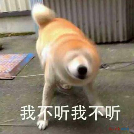 同比增长|成交额破3723亿元！海南人双11最喜欢买的是……