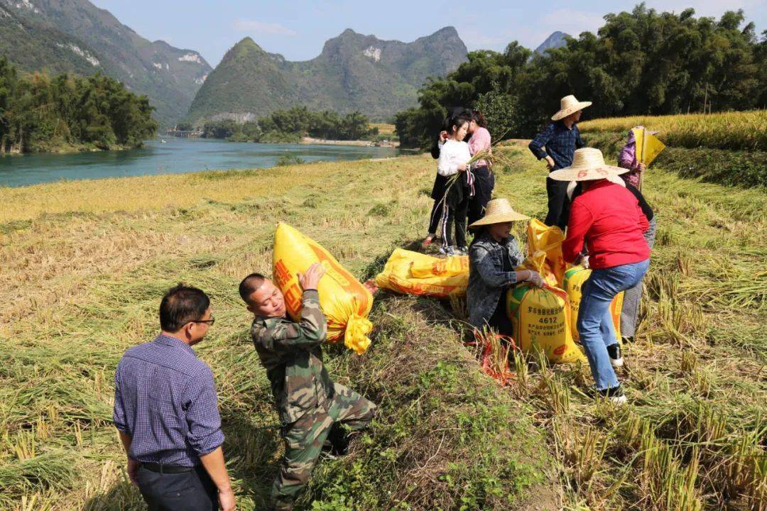 近年来,该区在六圩镇凌霄村,东江镇里仁村,侧岭乡九良村,拔贡镇下桥村