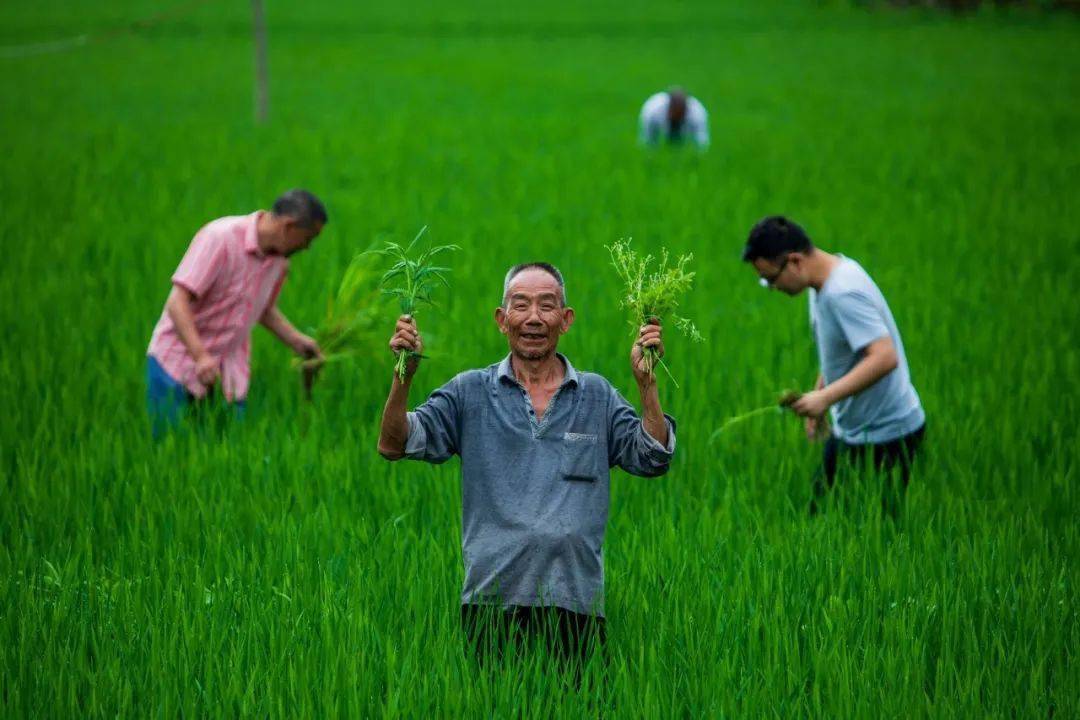 重庆市脱贫攻坚摄影作品选(七)