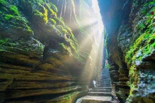 屏山峡谷在哪个景区内 51f8405414014eb9993dfaf4ec69e1fb.jpeg