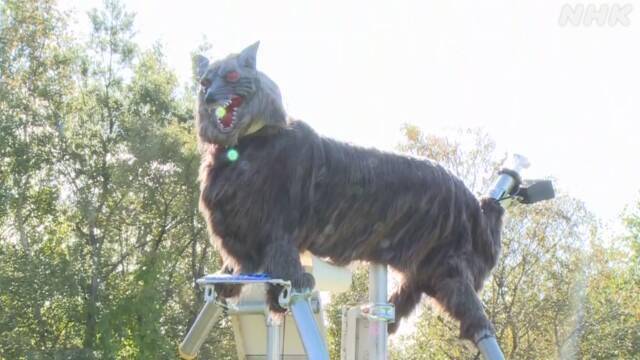 泷川市人口_泷川雅美
