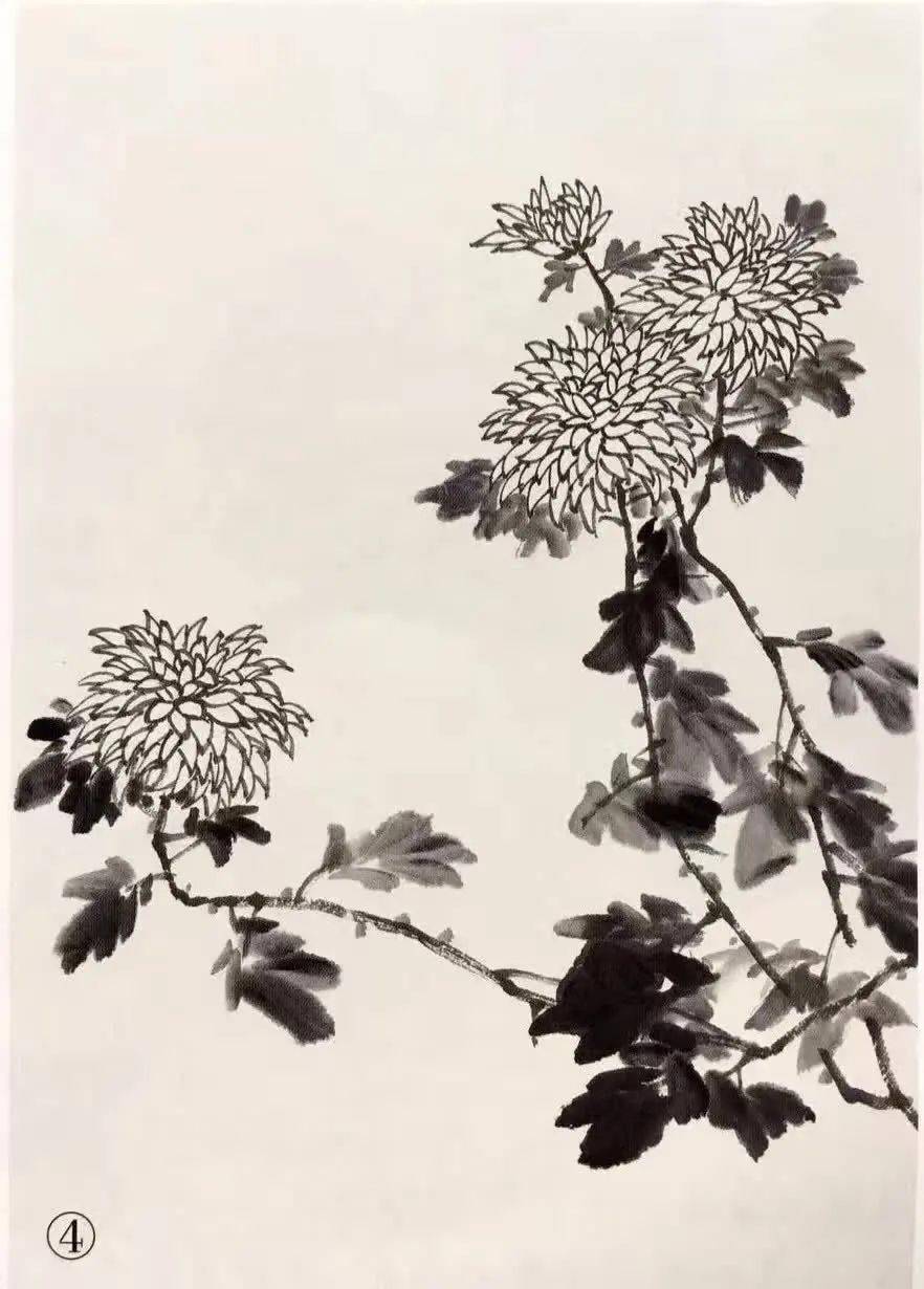 图文教程丨国画菊花怎么画?