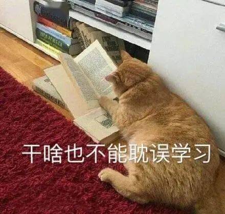 测评|测评｜第一次和男友出去过夜，需要准备些什么？