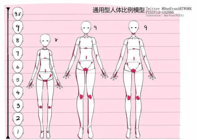 详细教程丨最全的女性人体比例模型画妹子必备快来