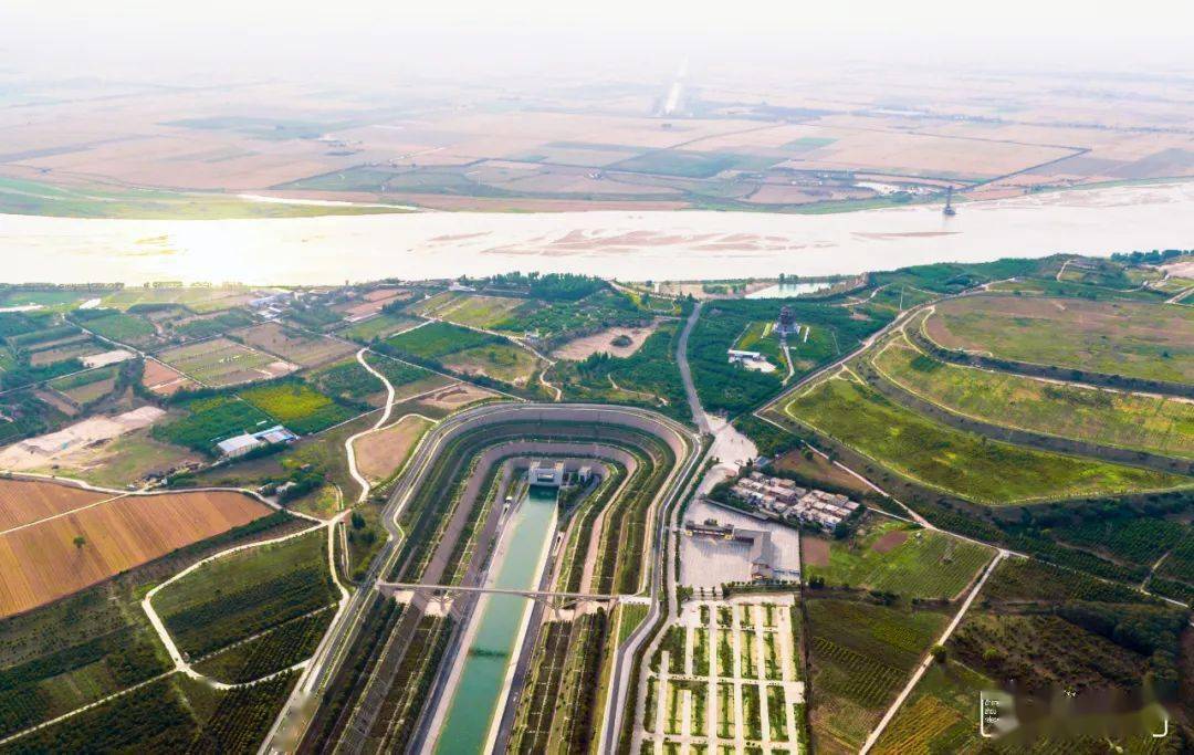 为什么南方gdp不挤水_南方蟑螂图片