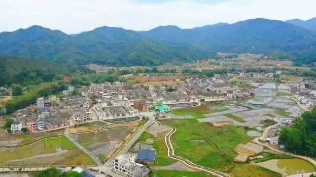 这个贫困村靠茶叶,变身"广东十大美丽乡村"| 百县百景