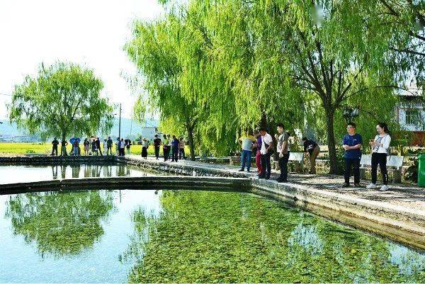 菜埔村人口_蟳埔村(2)