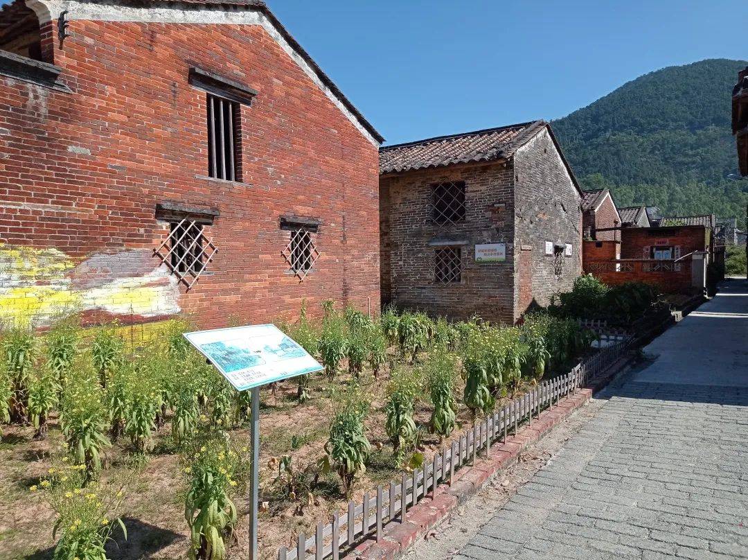 云浮市|西江边上，那些传奇……