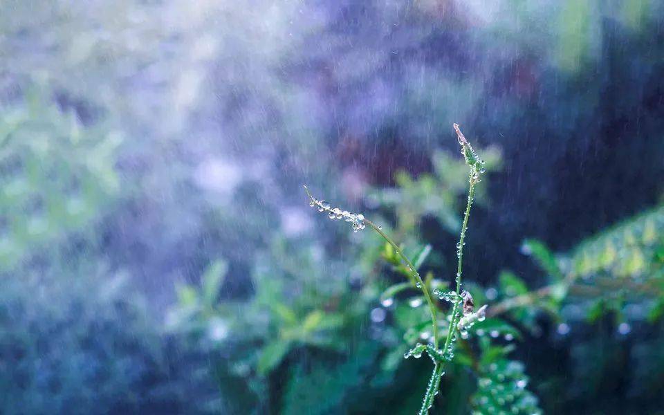 明天白天有零星小雨