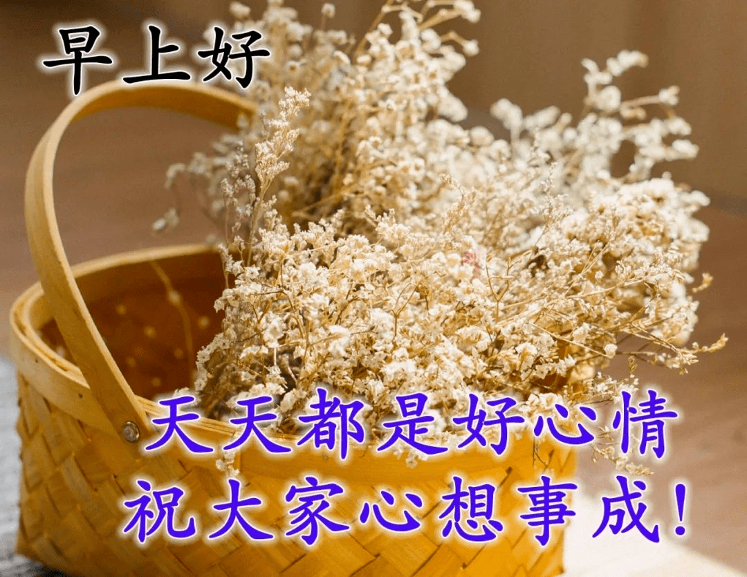 11月13日早上好问候语带图片,星期五早安祝福语温暖表情图片