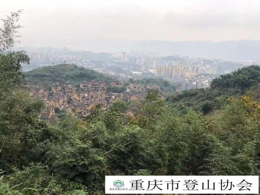 共同执行的重庆登山系列赛正式上线开赛,比赛线路包括大渡口金鳌山