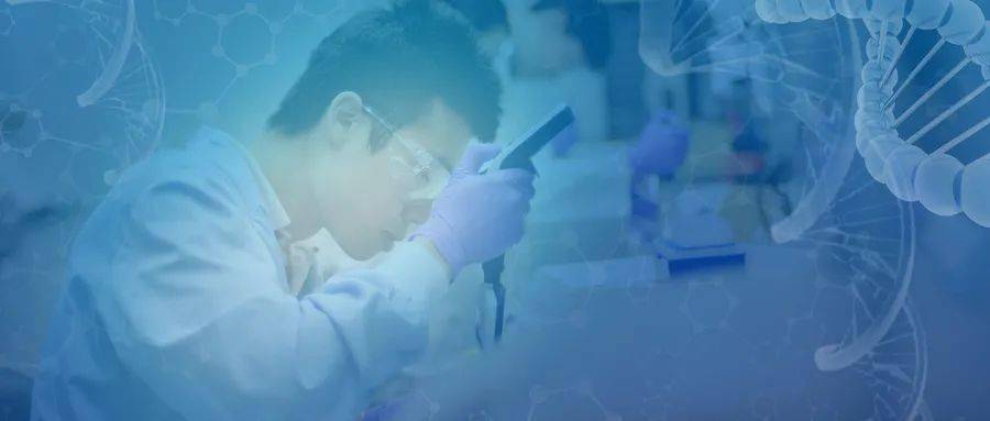 文章|因一篇自媒体文章，600亿医药巨头遭火速问询