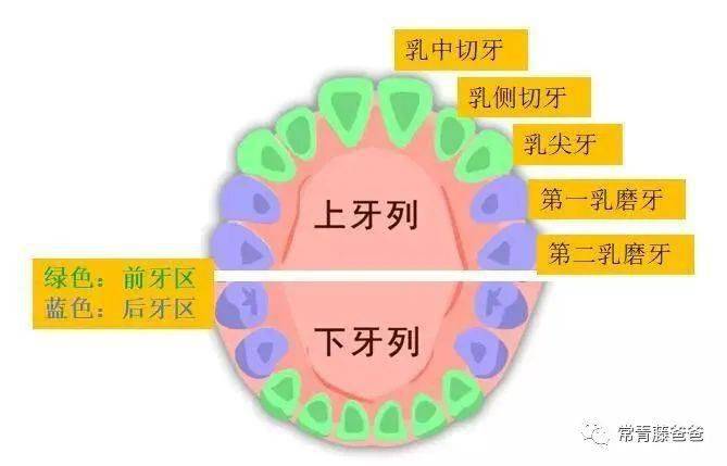 孩子|我追悔莫及”：娃6个月后很多家长做错了这件事！“儿子长了双排牙