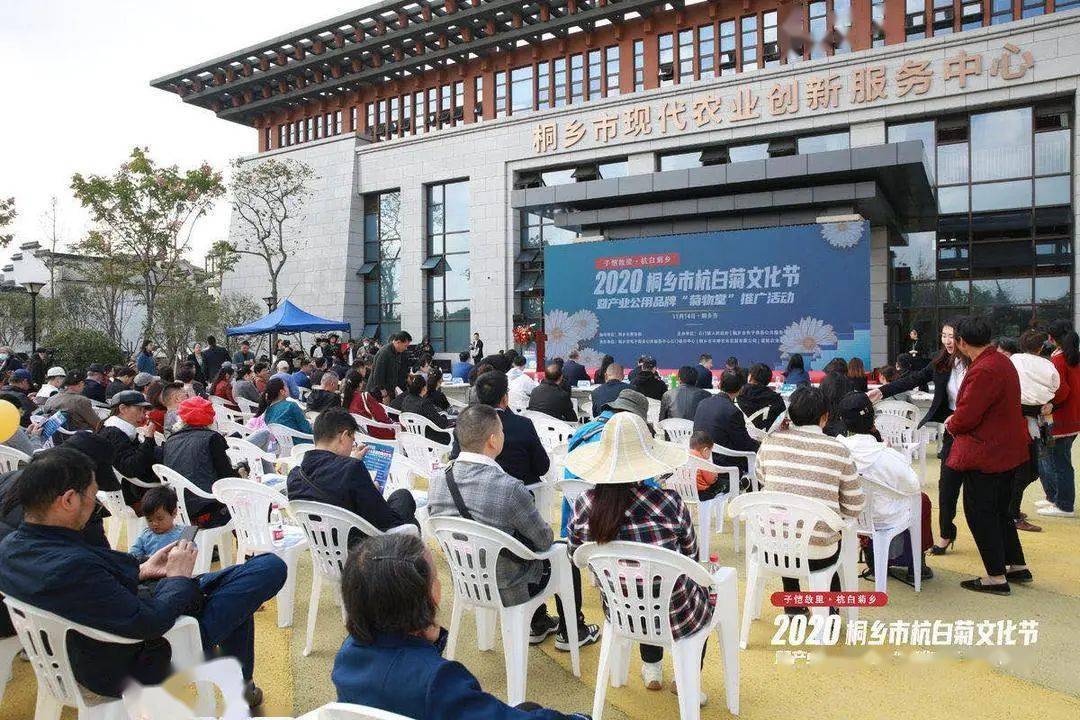 桐乡市gdp2020_桐乡市地图(2)