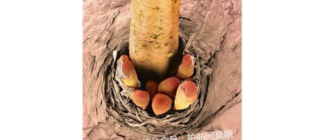 皮肤|明星们都是靠什么保养皮肤的？ 为什么这么好呢？