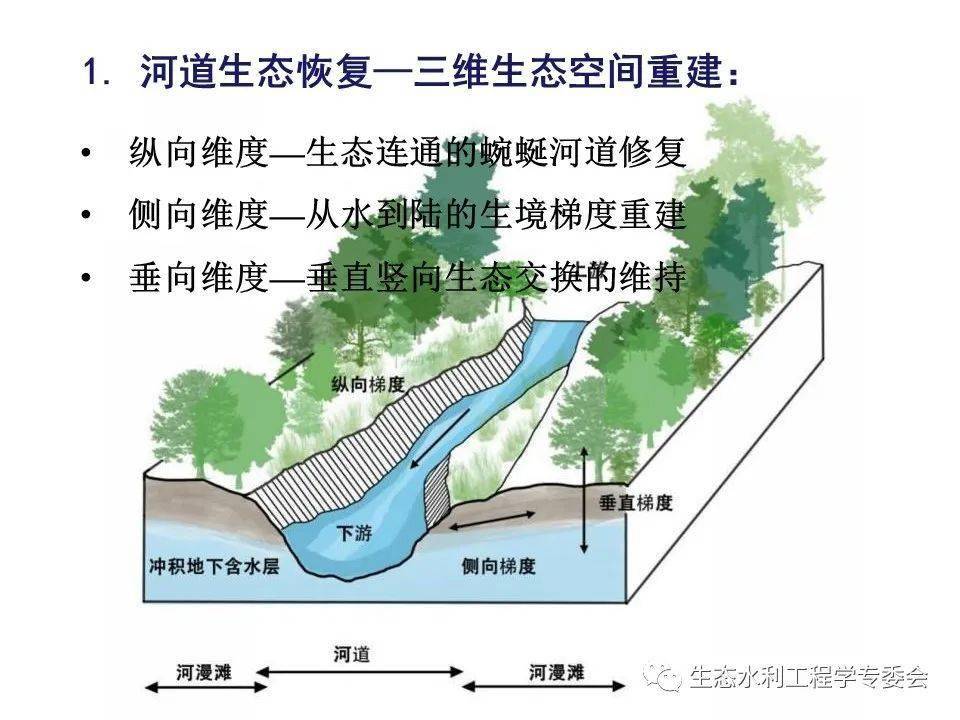 【专家视角】袁兴中:生命之源—基于生物多样性提升的河流生态系统