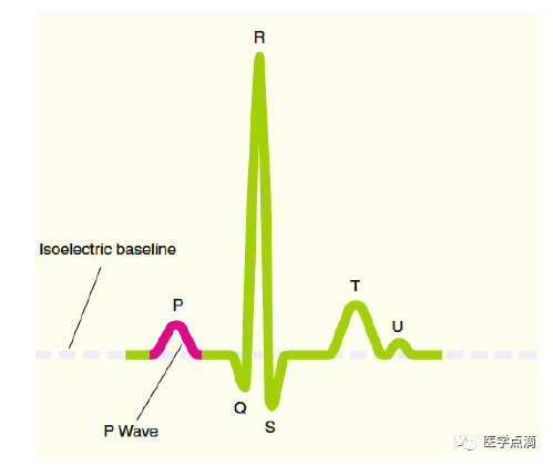 心电图"零"基础入门,干货满满!